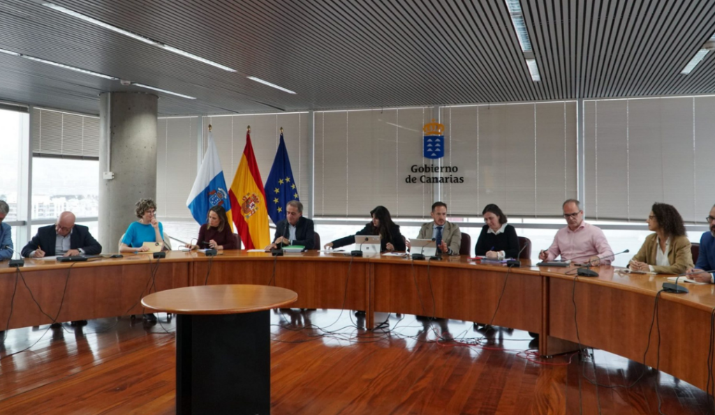 El pasado 16 de enero se celebró la primera Mesa de la Energía Eólica de Canarias.